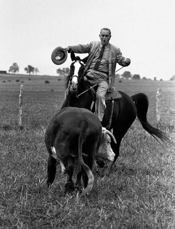 American Presidents and Their Horses